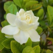 渌姐带你去旅行