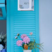 在旅途的阿毛君