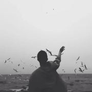 爱喝奶茶的喵先森