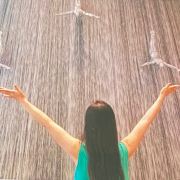 浪迹天涯终无悔