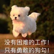 1234567上山打老虎