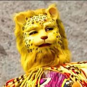 谁用了我的金钱豹