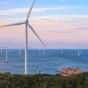 小胖的海岛日记