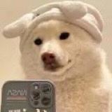 酒店探店达人欣怡