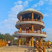 一只会飞的大鱼🐟