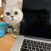 我在办公室养鱼