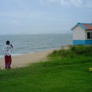 派大星和海绵宝宝✈️