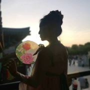 爱上大象的小鹦鹉