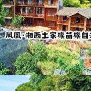 凤凰特价爆款专场