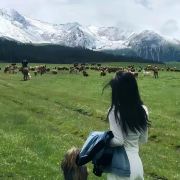爱旅游的小帅哦