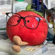 小羊的山城日记