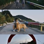 烤地瓜的旅行日记