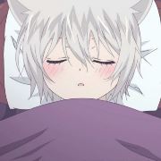 凡凡也想环游世界鸭