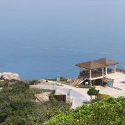 与🦋共存的每一天