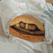 带着汉堡去旅行