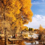 阿拉善盟额济纳旗