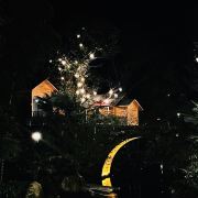 大好河山拔草官