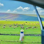 呼伦贝尔豆丁熊🐻