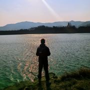 一个吃货的蜂游