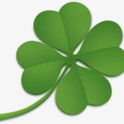 初心不改共白首