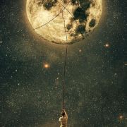 去码头整点薯条吧🍟