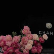 一只会懂得分享的小可爱