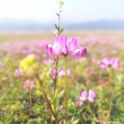 追着夕阳看日落