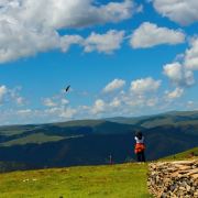 乡村来的啊老表