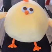 文德强↹旅行家