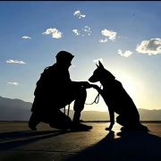 跟着爸爸闯世界