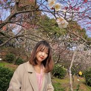 小蜡烛梦想环游世界