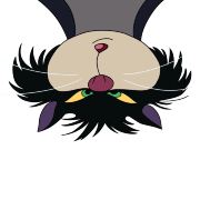 吃鱼干饭的喵喵