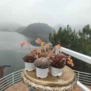 依山舍傍水亭民宿农庄