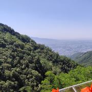 齐鲁旅行推荐官