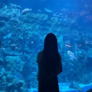 快乐的旅行者aa