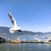 跟随白云去流浪