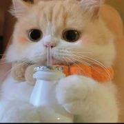 旅怀深落日,古思入秋风