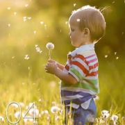 你就像夜空中最亮的星