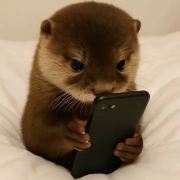 只爱人民币的小人物