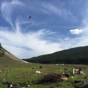 海创汽车服务有限公司