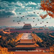 金金旅行达人司机