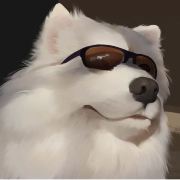 小陈和小饶去旅行