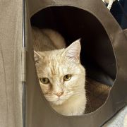 老郭生活实验室