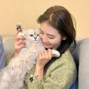 芒芒旅行笔记✈️