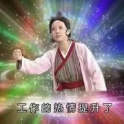 阿尔汉格尔斯克苏轼