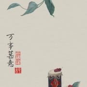 爱旅游的淘淘777