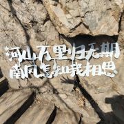 噗噗pe