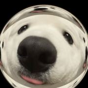 满满仓旅行日记