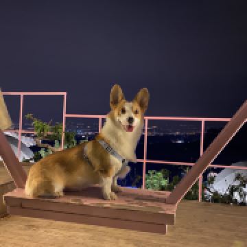 北湖螃蟹先生和造粪基蛋黄