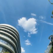 自由的心 在世界每个角落